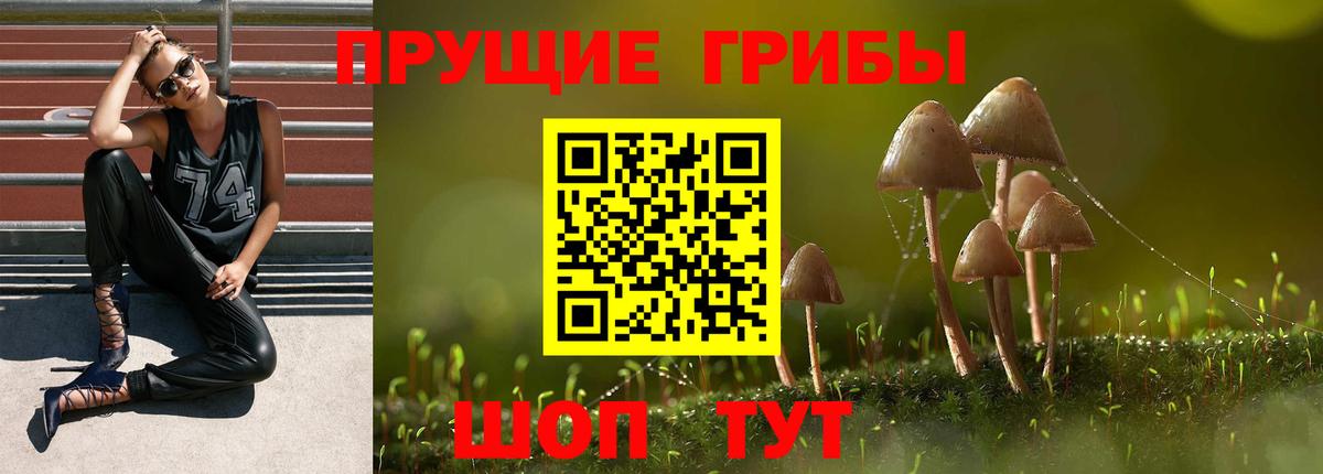 Псилоцибиновые грибы MAGIC MUSHROOMS  Вход с VPN  наркошоп  Волхов 